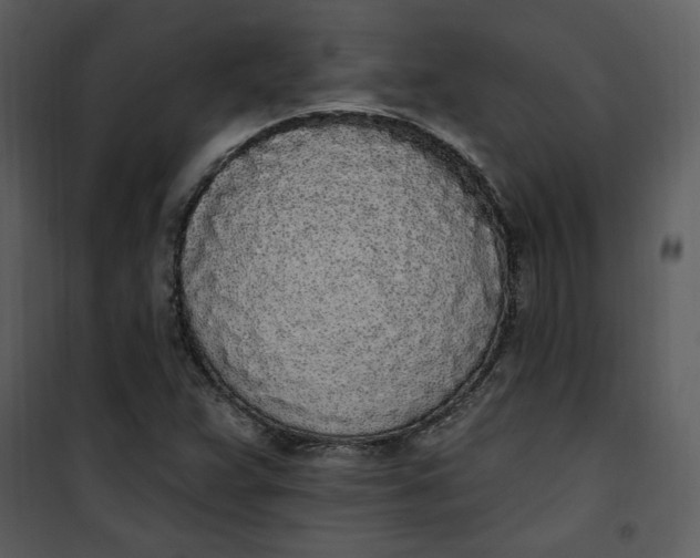 X0000101231359200807181553