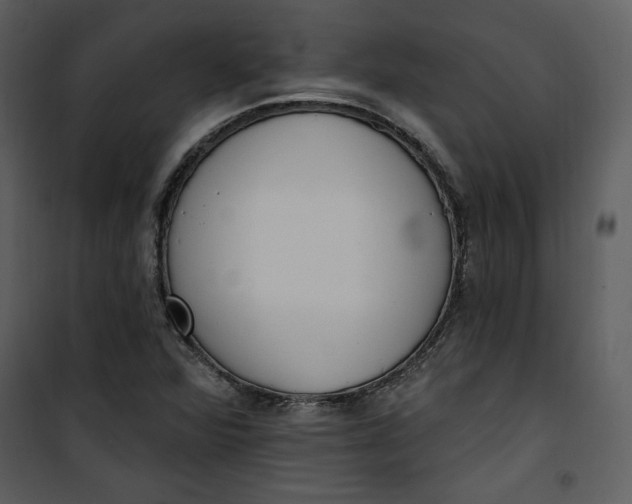 X0000101231360200807181553