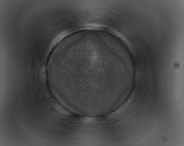 X0000101231362200807181553