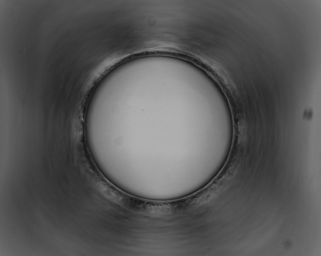 X0000101231363200807181553