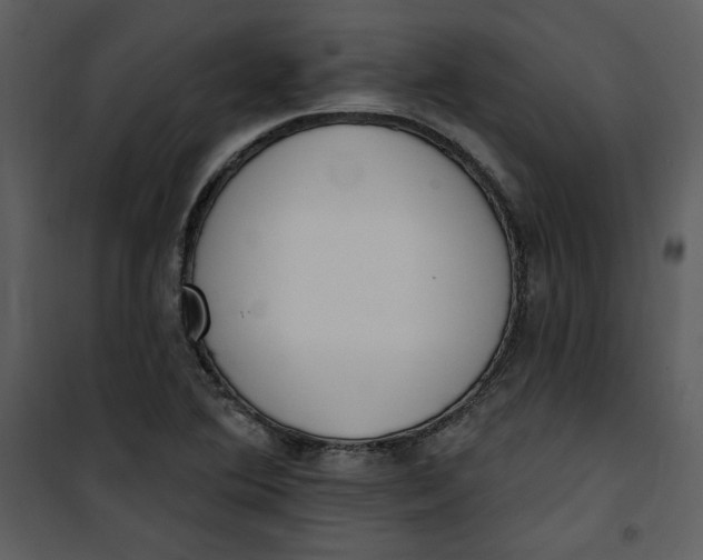 X0000101231364200807181553