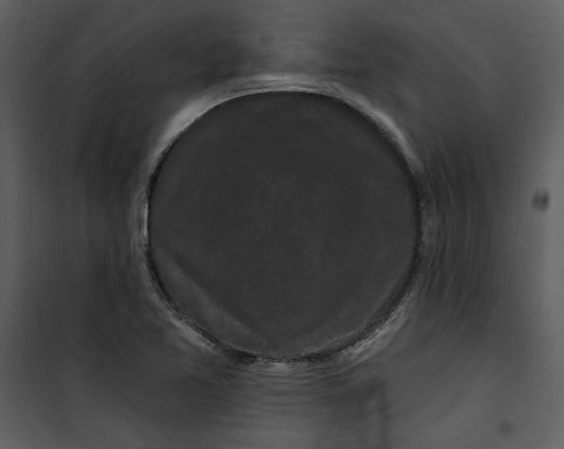 X0000101231365200807181553