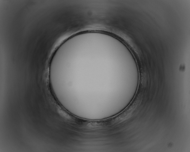 X0000101231366200807181553