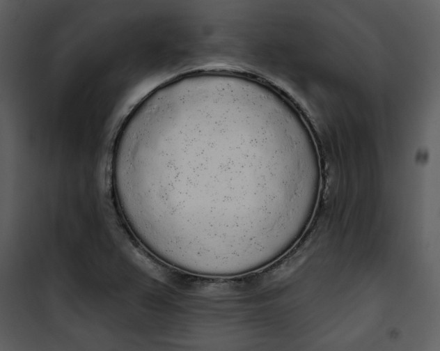 X0000101231367200807181553