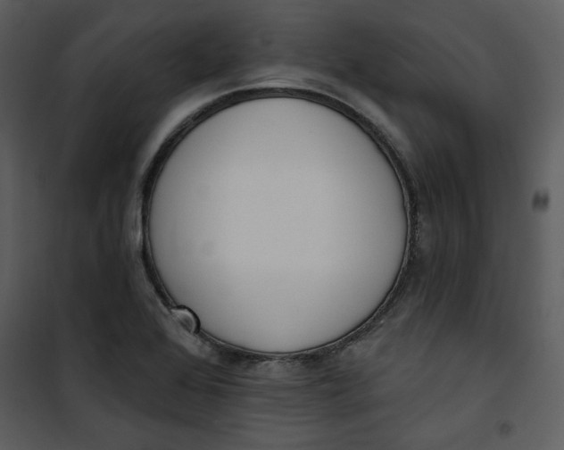 X0000101231368200807181553