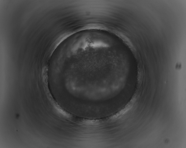 X0000101231369200807181553