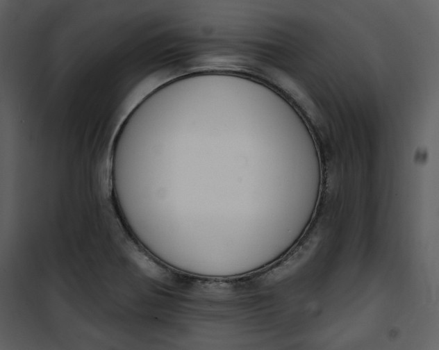 X0000101231370200807181553