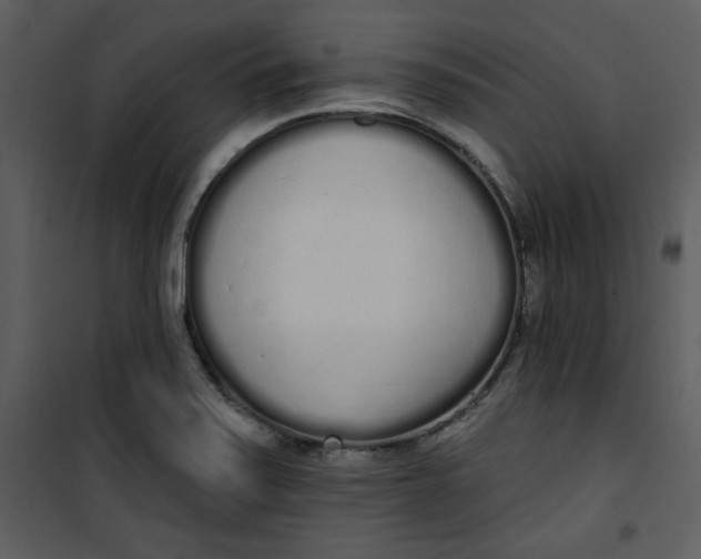 X0000101231371200807181553