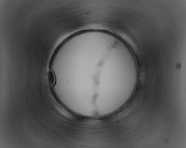 X0000101231372200807181553