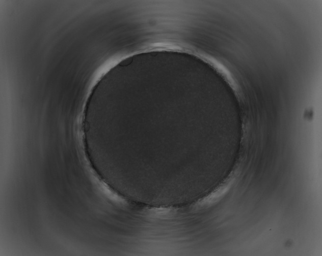 X0000101231373200807181553