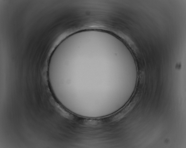 X0000101231374200807181553