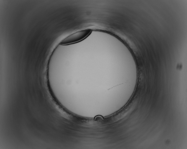 X0000101231375200807181553