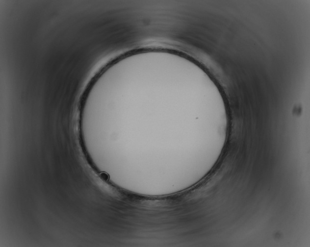 X0000101231376200807181553