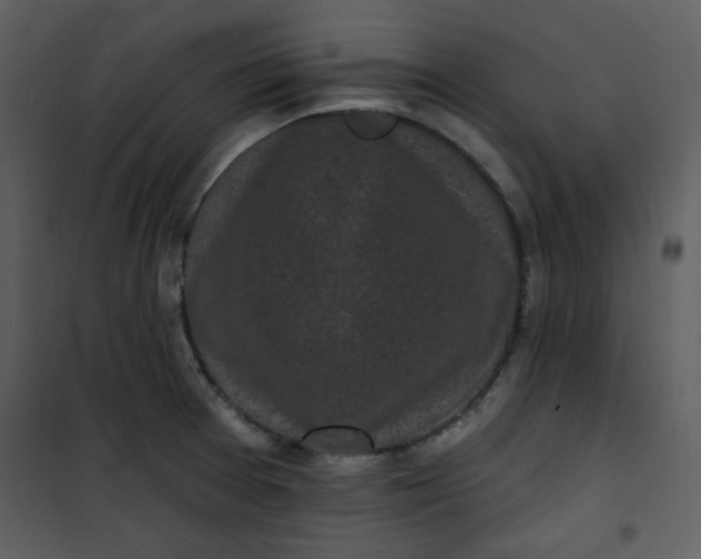 X0000101231377200807181553