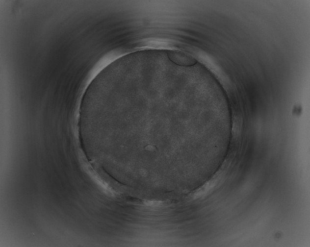 X0000101231378200807181553