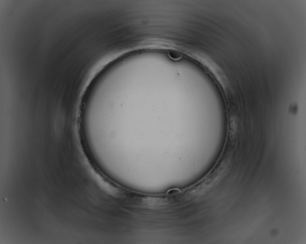 X0000101231379200807181553