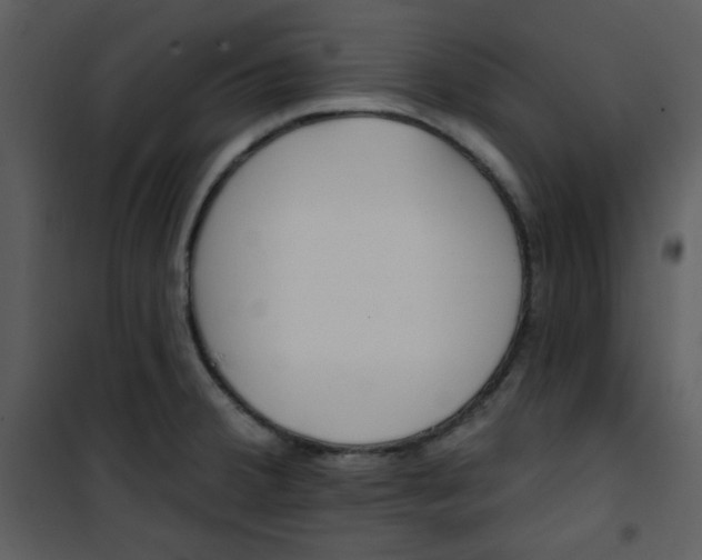 X0000101231380200807181553