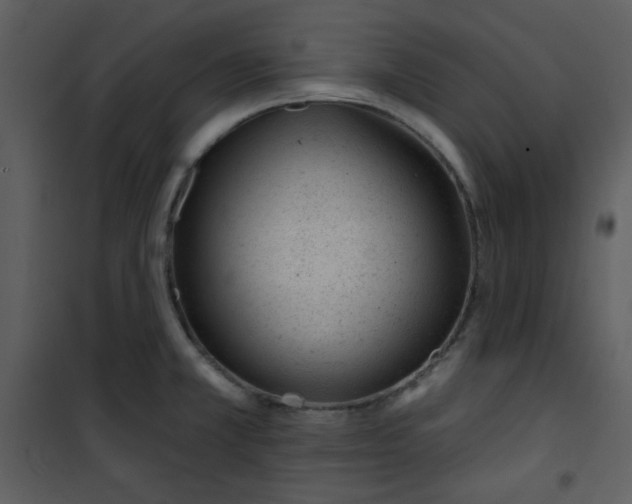 X0000101231381200807181553