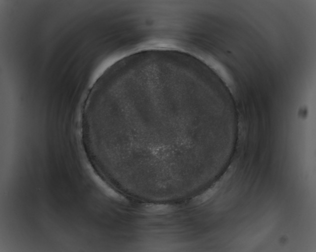 X0000101231382200807181553