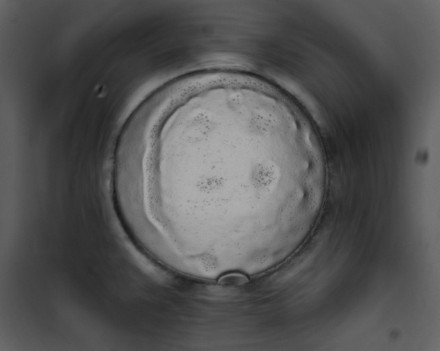 X0000101231383200807181553