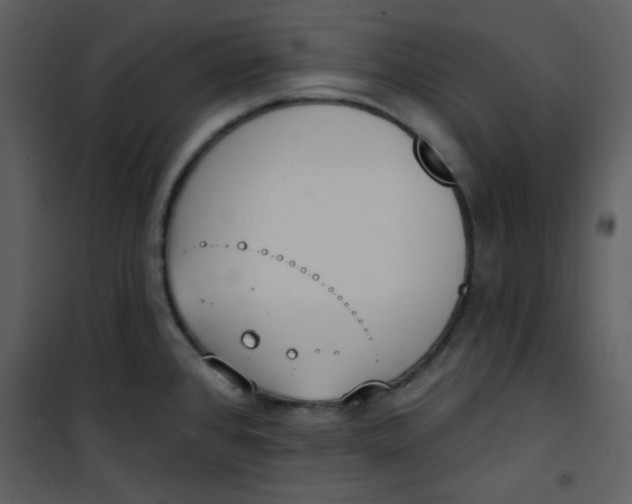 X0000101231384200807181553