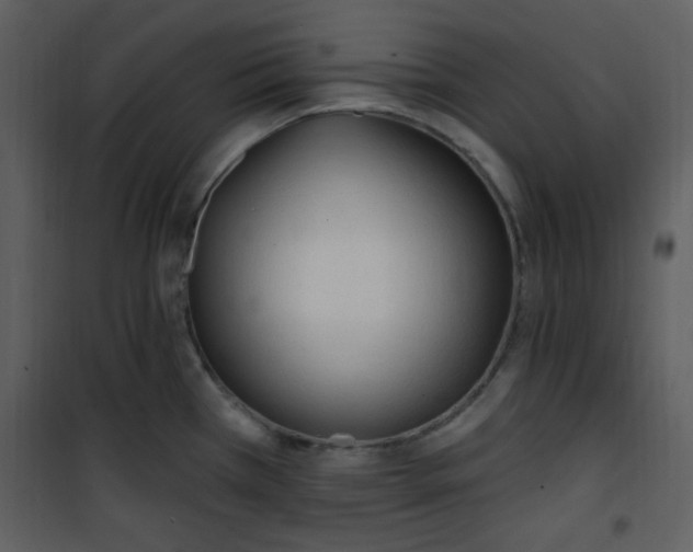 X0000101231385200807181553