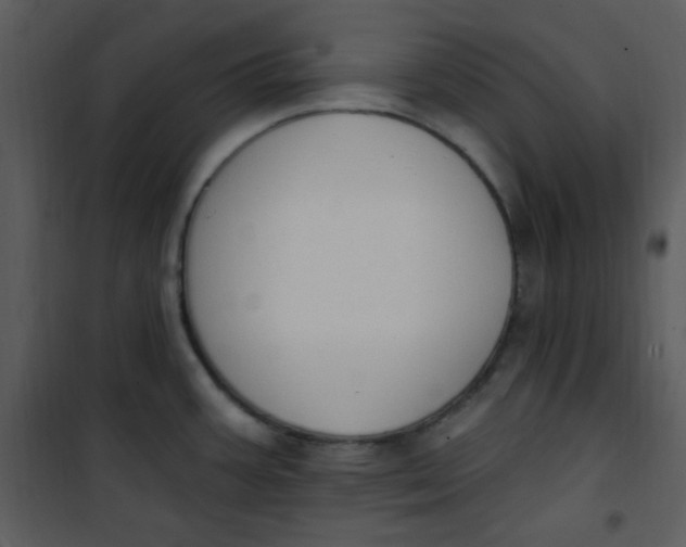 X0000101231387200807181553