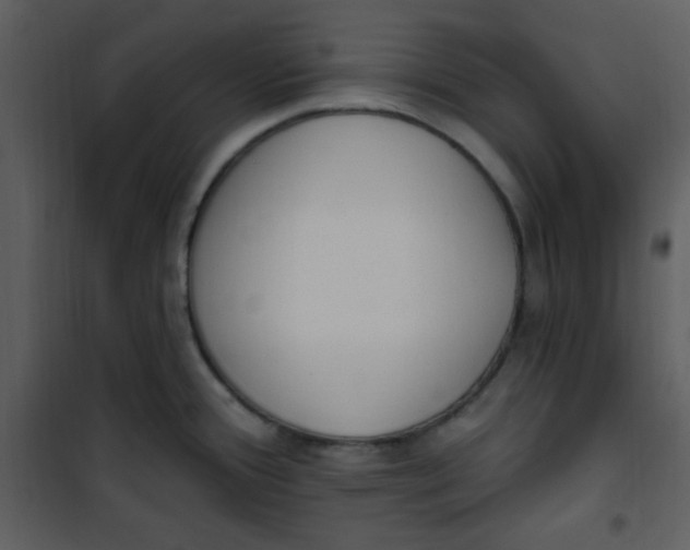 X0000101231388200807181553