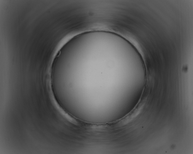 X0000101231389200807181553