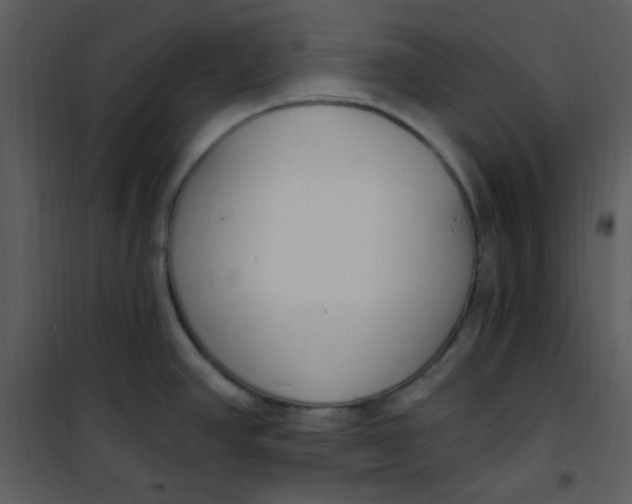 X0000101231390200807181553