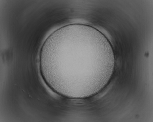 X0000101231391200807181553