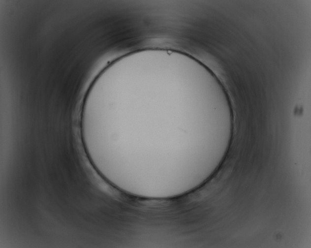 X0000101231392200807181553