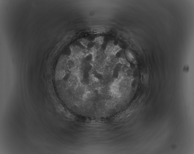 X0000101231393200807181552