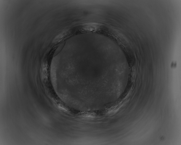 X0000101231394200807181552