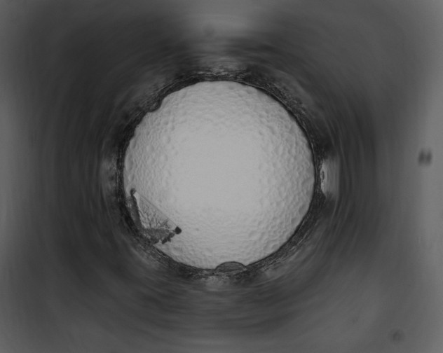 X0000101231395200807181552