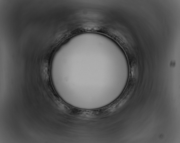 X0000101231396200807181552