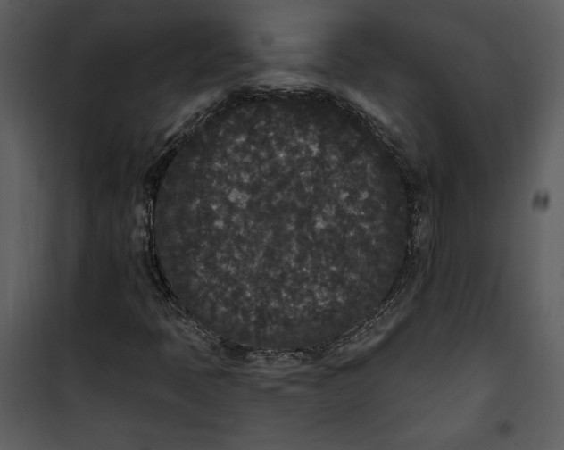 X0000101231397200807181552