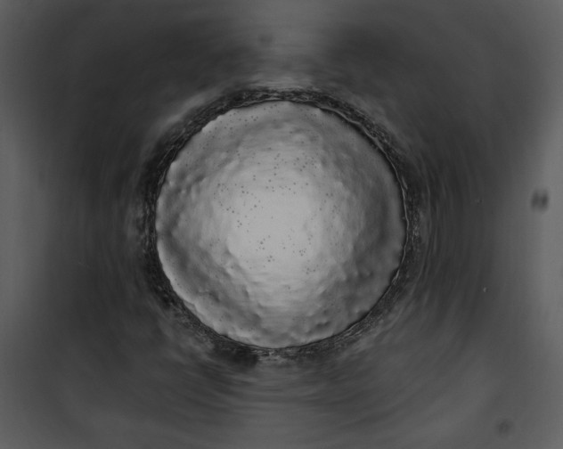 X0000101231398200807181552