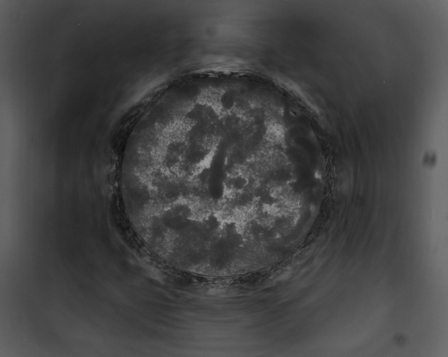 X0000101231399200807181552