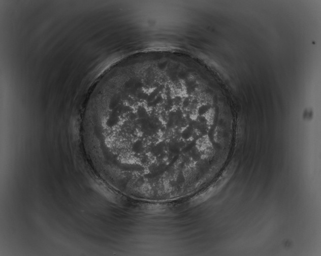 X0000101231401200807181552