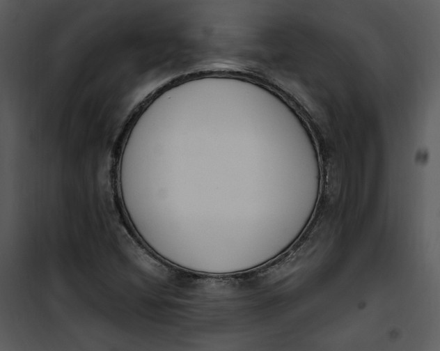 X0000101231404200807181552