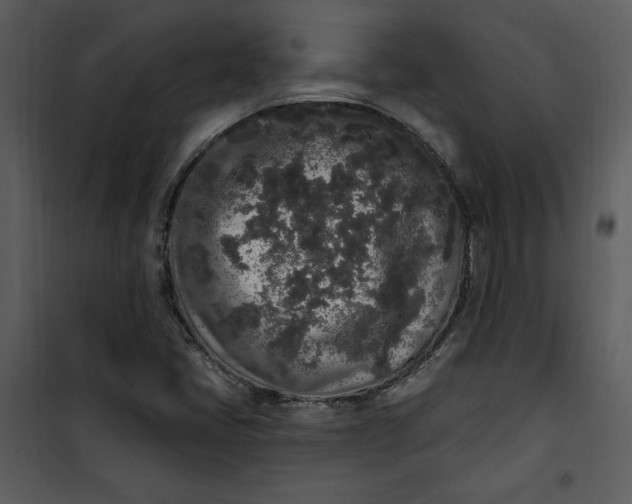 X0000101231405200807181552