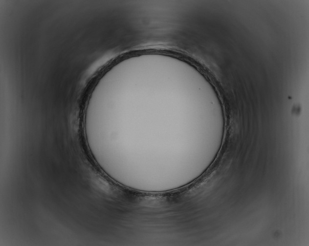 X0000101231406200807181552