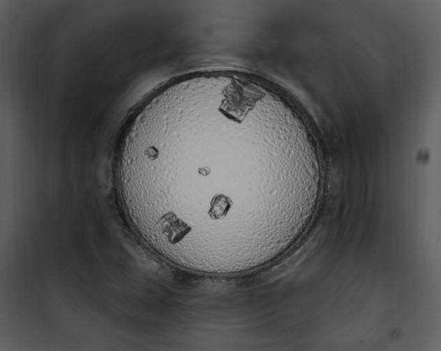 X0000101231407200807181552