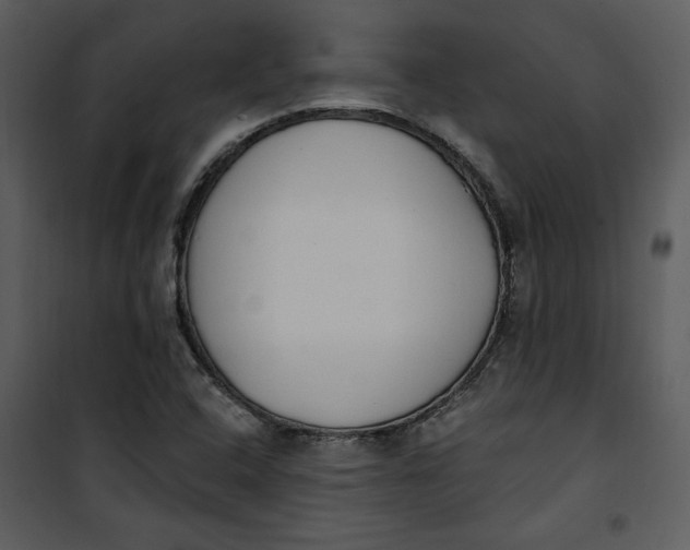 X0000101231408200807181552