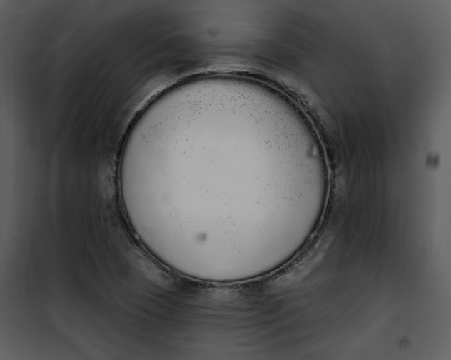 X0000101231409200807181552