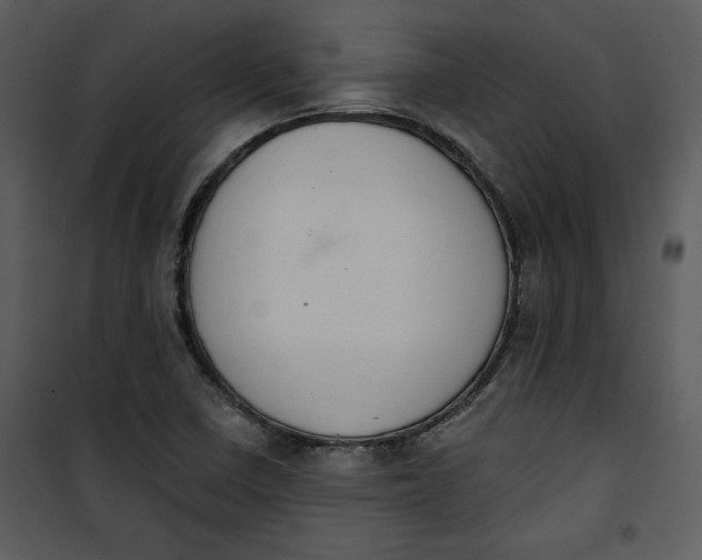 X0000101231410200807181552