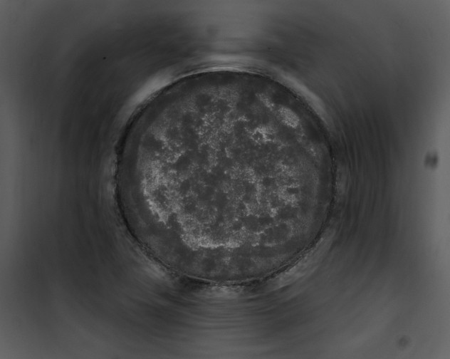 X0000101231411200807181552