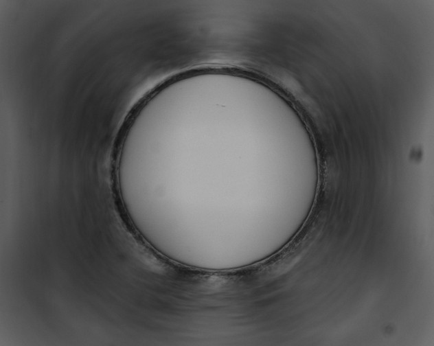 X0000101231412200807181552