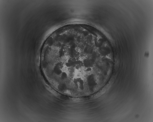 X0000101231413200807181552